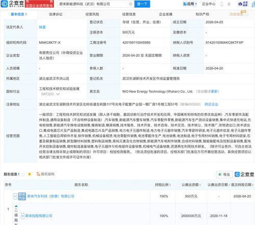 蔚來武漢布局新篇章 成立新能源科技公司，深化AI與軟件開發