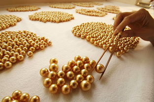 流光溢金 揭秘價比黃金的稀世珍珠